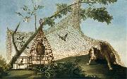 Francisco de Goya Caza con reclamo Germany oil painting artist